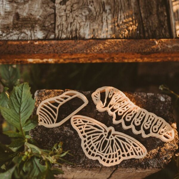 Kinfolk Pantry - Monarch Butterly Lifecycle Eco Cutter Set