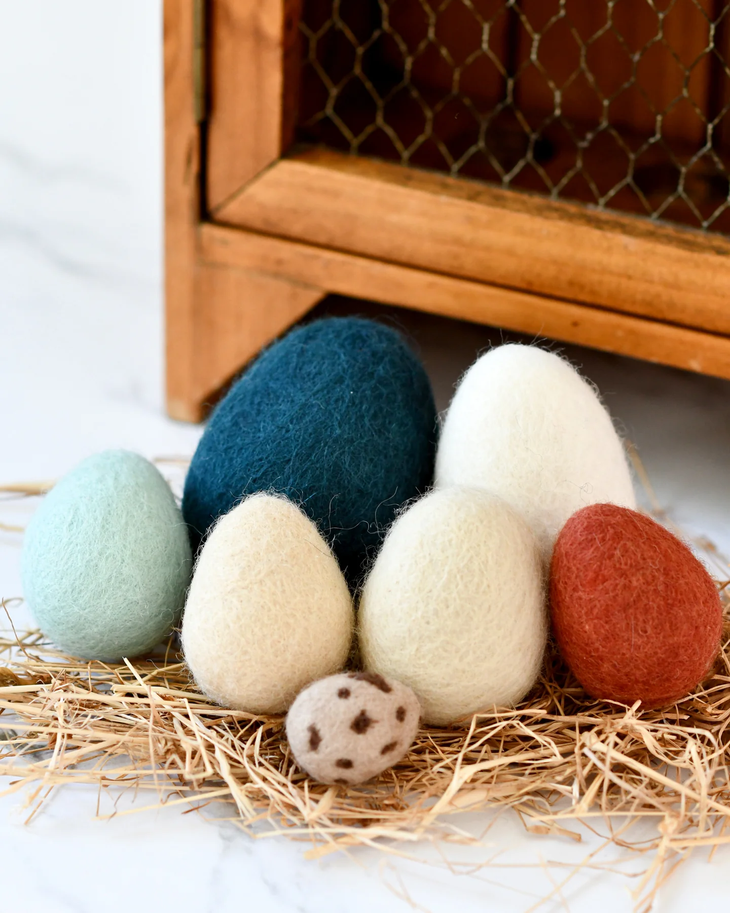 Tara Treasures Felt Eggs ( 7 types of Poultry Eggs )