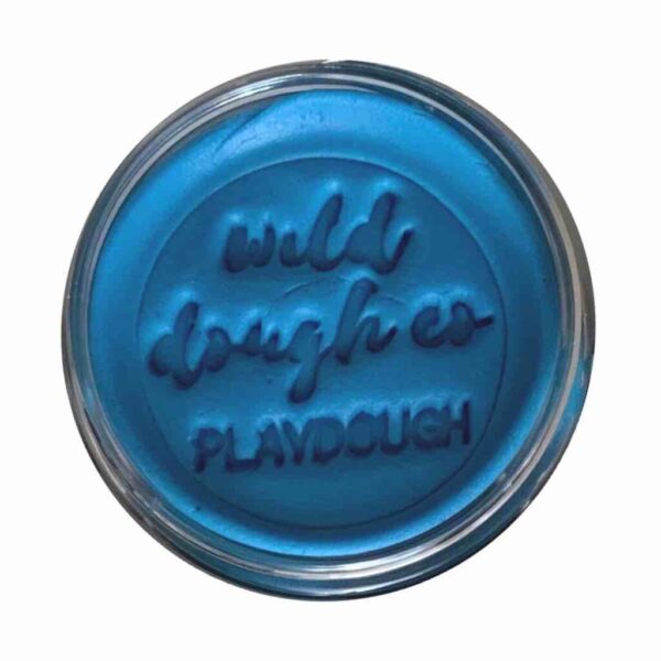 Wild Dough - Pacific Blue Playdough