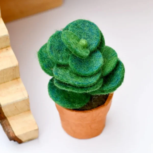 Tara Treasures - Felt Green Jade Succulent Plant with Lokta Paper Pot