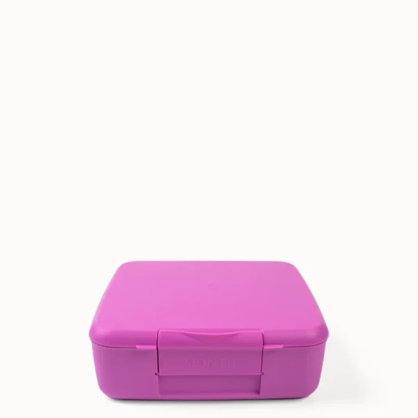 MontiiCo Feast Bento Lunch Box - Fuchsia